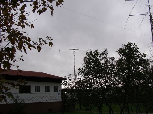 PB140798.JPG